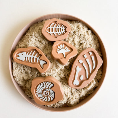 Prehistoric Rock Fossils 3D-printed set of 5