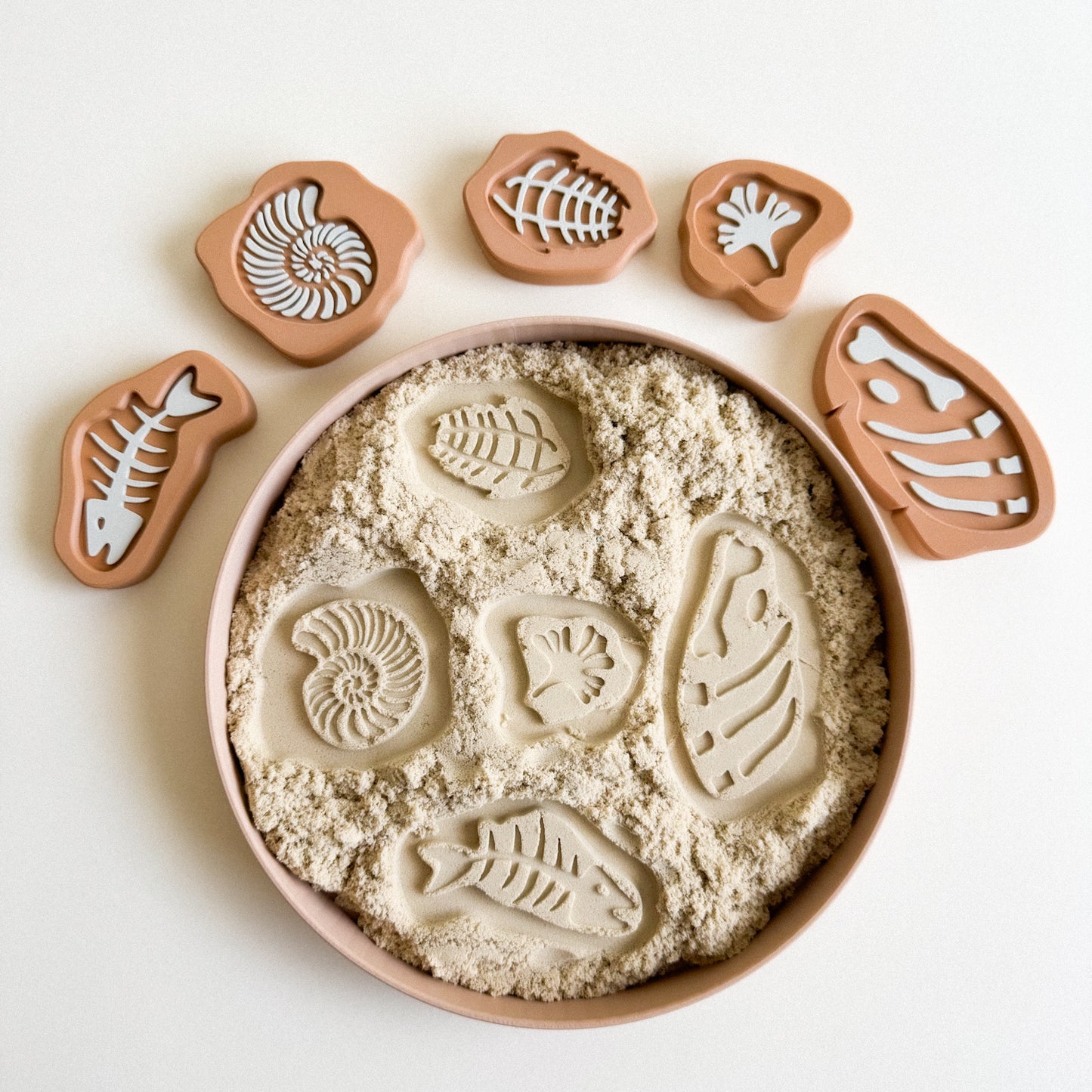 Prehistoric Rock Fossils 3D-printed set of 5