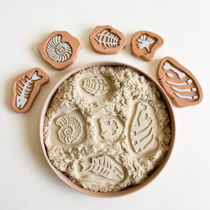 Prehistoric Rock Fossils 3D-printed set of 5