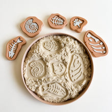 Load image into Gallery viewer, Prehistoric Rock Fossils 3D-printed set of 5
