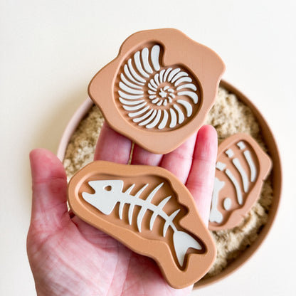 Prehistoric Rock Fossils 3D-printed set of 5