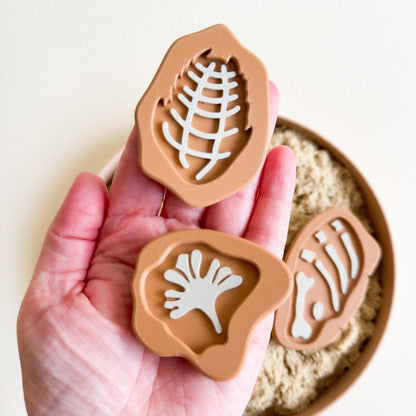 Prehistoric Rock Fossils 3D-printed set of 5