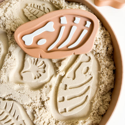 Prehistoric Rock Fossils 3D-printed set of 5