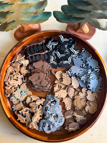 Hibernation Collection — Learn, Play and Explore the Magic of Winter by WooBeWee™
