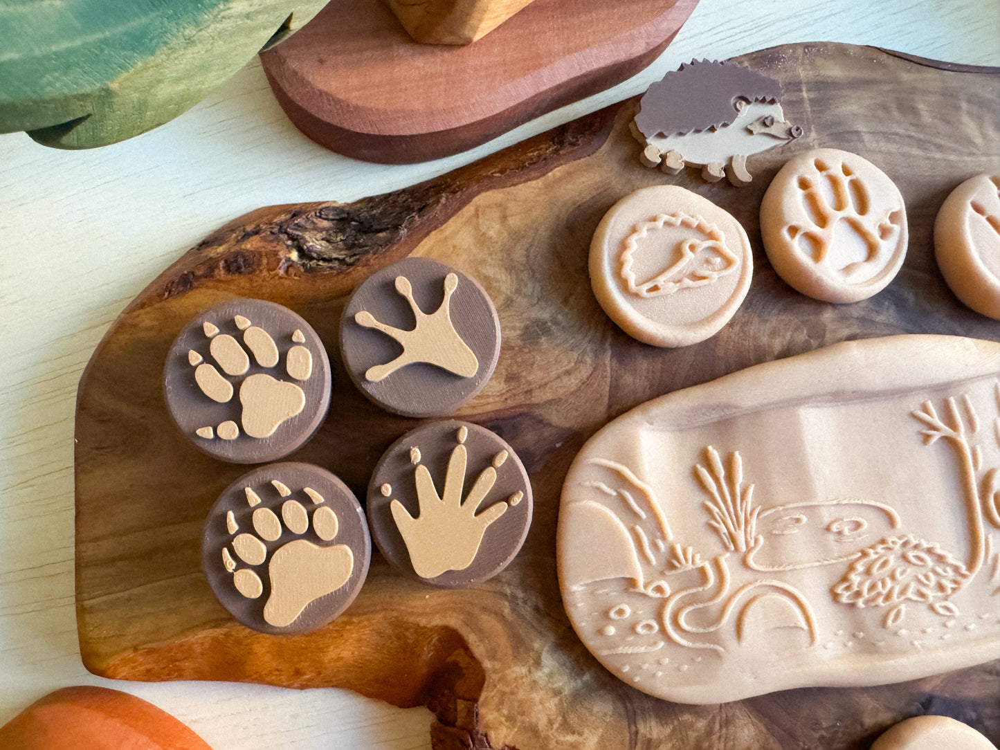 Hibernation Collection — Learn, Play and Explore the Magic of Winter by WooBeWee™