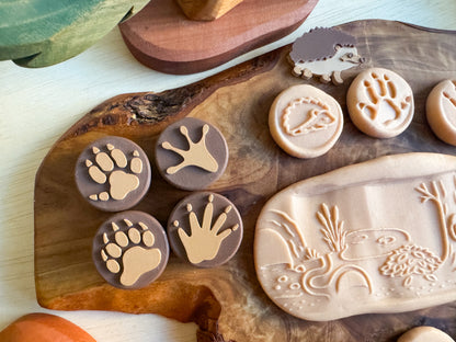 Hibernation Collection — Learn, Play and Explore the Magic of Winter by WooBeWee™