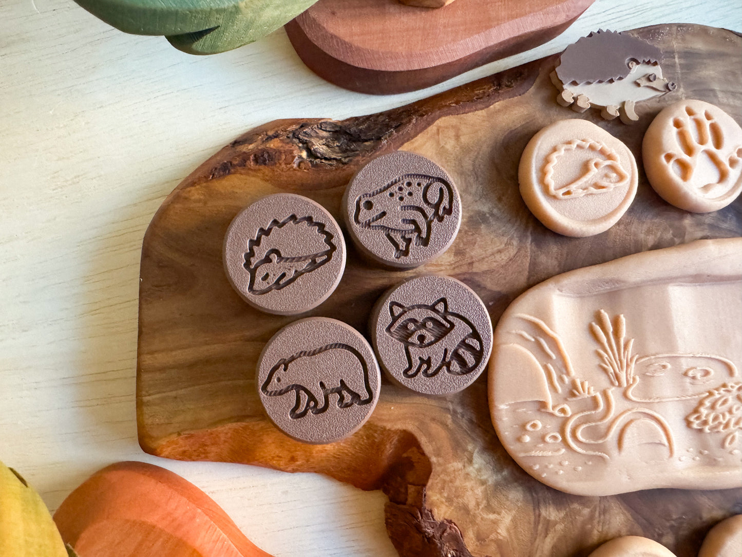 Hibernation Collection — Learn, Play and Explore the Magic of Winter by WooBeWee™