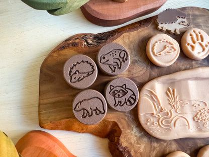 Hibernation Collection — Learn, Play and Explore the Magic of Winter by WooBeWee™
