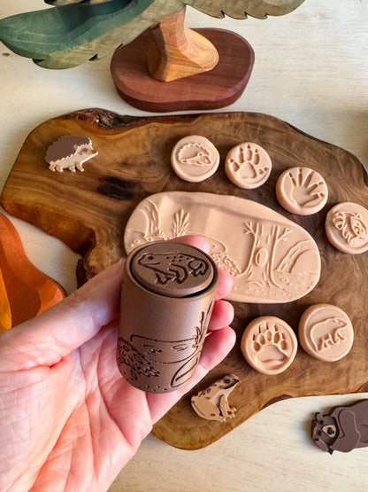 Hibernation Collection — Learn, Play and Explore the Magic of Winter by WooBeWee™