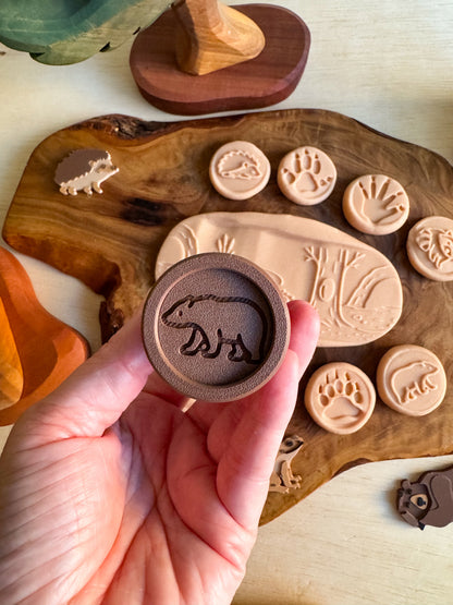 Hibernation Collection — Learn, Play and Explore the Magic of Winter by WooBeWee™