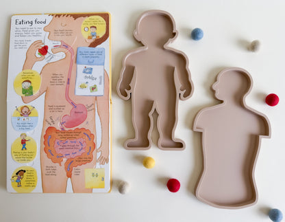 Human Body Bio Sensory Play Tray