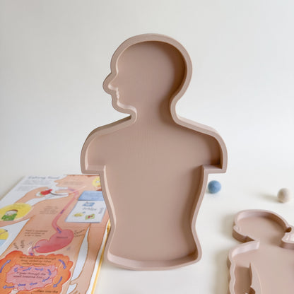 Human Body Bio Sensory Play Tray