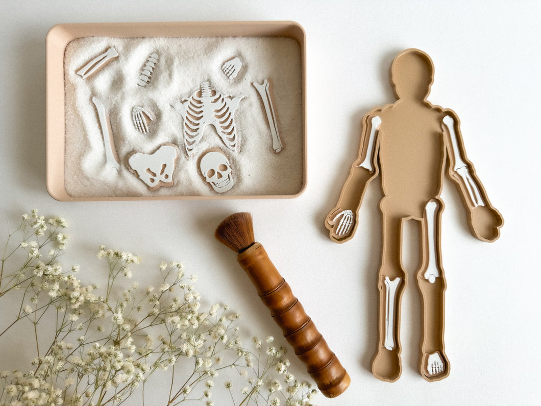 3D-printed Skeleton Puzzle with Tray