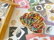 Load image into Gallery viewer, shell, shell sensory tray, sensory tray, sensory activity, water play, playroom, homeschool, preschool, educational activity, learning, playing, nature based toys, flisat table, sensory bin, outdoor play
