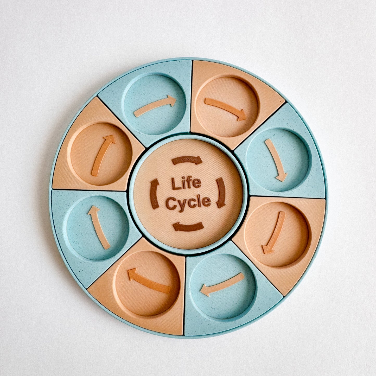 Life Cycle Learning Base – Ready to 3D Print STL and 3MF File Digital Download