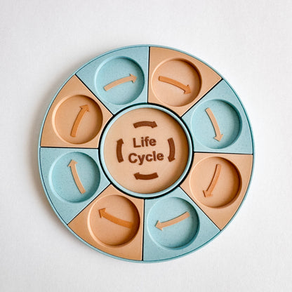 Life Cycle Learning Base – Ready to 3D Print STL and 3MF File Digital Download