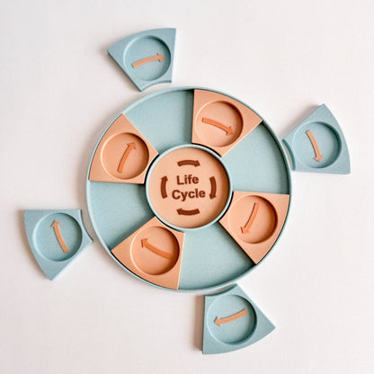 Life Cycle Learning Base – Ready to 3D Print STL and 3MF File Digital Download