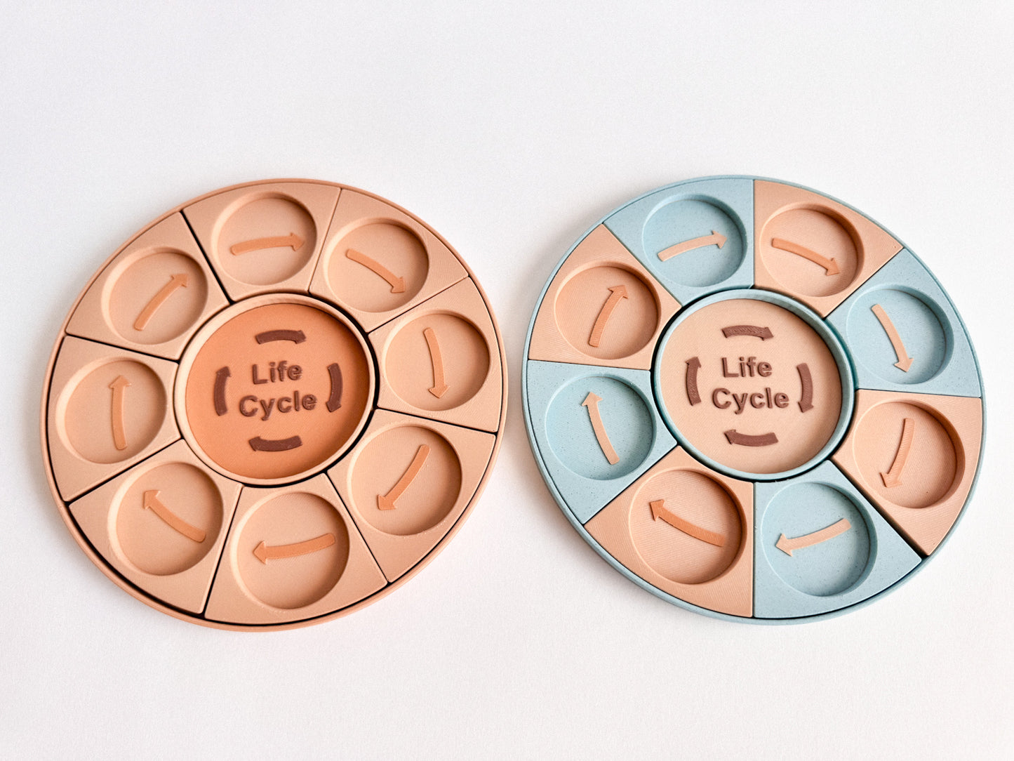 Life Cycle Learning Base – Ready to 3D Print STL and 3MF File Digital Download