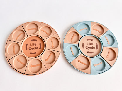 Life Cycle Learning Base – Ready to 3D Print STL and 3MF File Digital Download