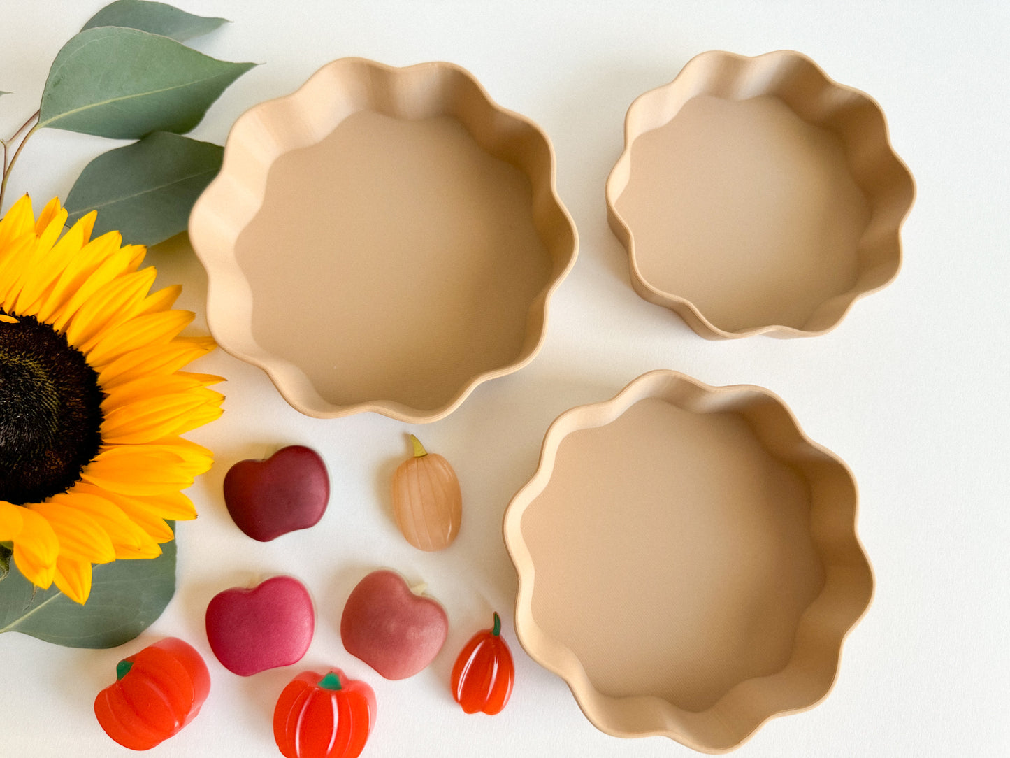 NEW Pie Bio Pan