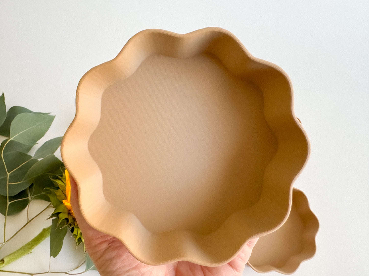 NEW Pie Bio Pan