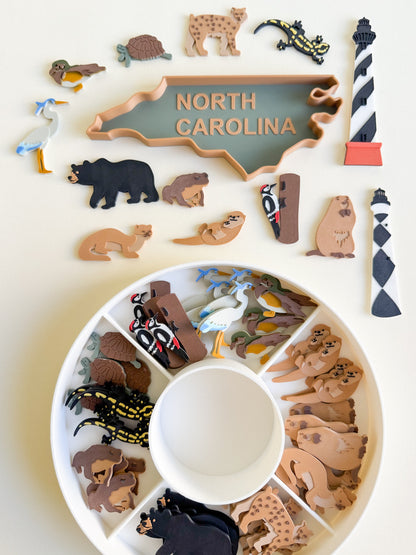 Great Dismal Swamp & North Carolina Sensory Collection