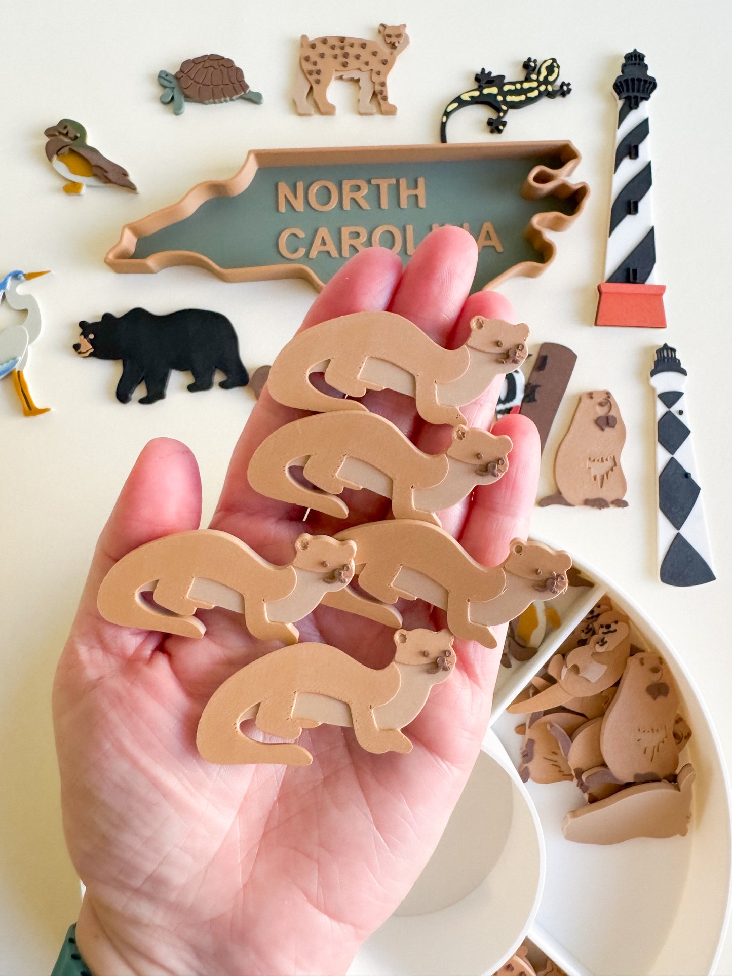Great Dismal Swamp & North Carolina Sensory Collection
