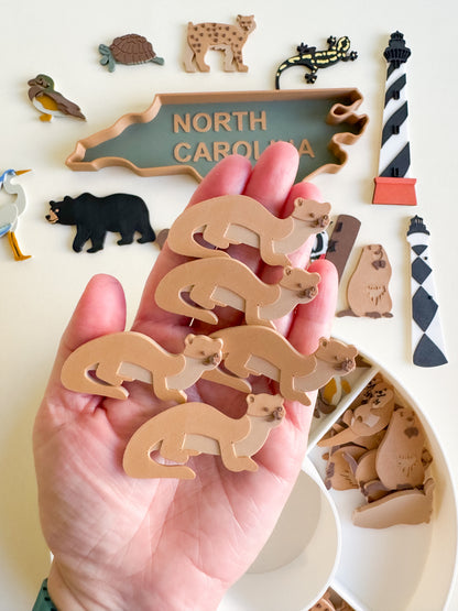 Great Dismal Swamp & North Carolina Sensory Collection
