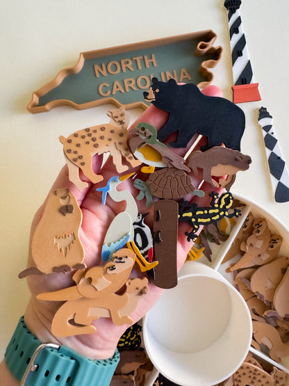 Great Dismal Swamp & North Carolina Sensory Collection