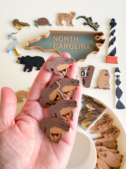 Great Dismal Swamp & North Carolina Sensory Collection
