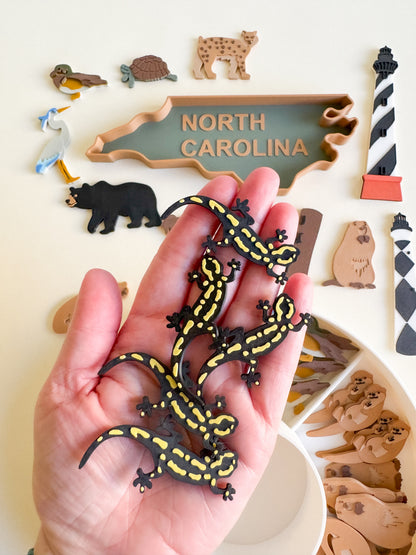 Great Dismal Swamp & North Carolina Sensory Collection
