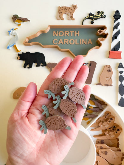 Great Dismal Swamp & North Carolina Sensory Collection