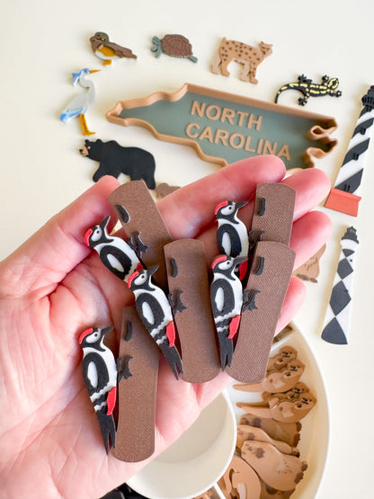 Great Dismal Swamp & North Carolina Sensory Collection