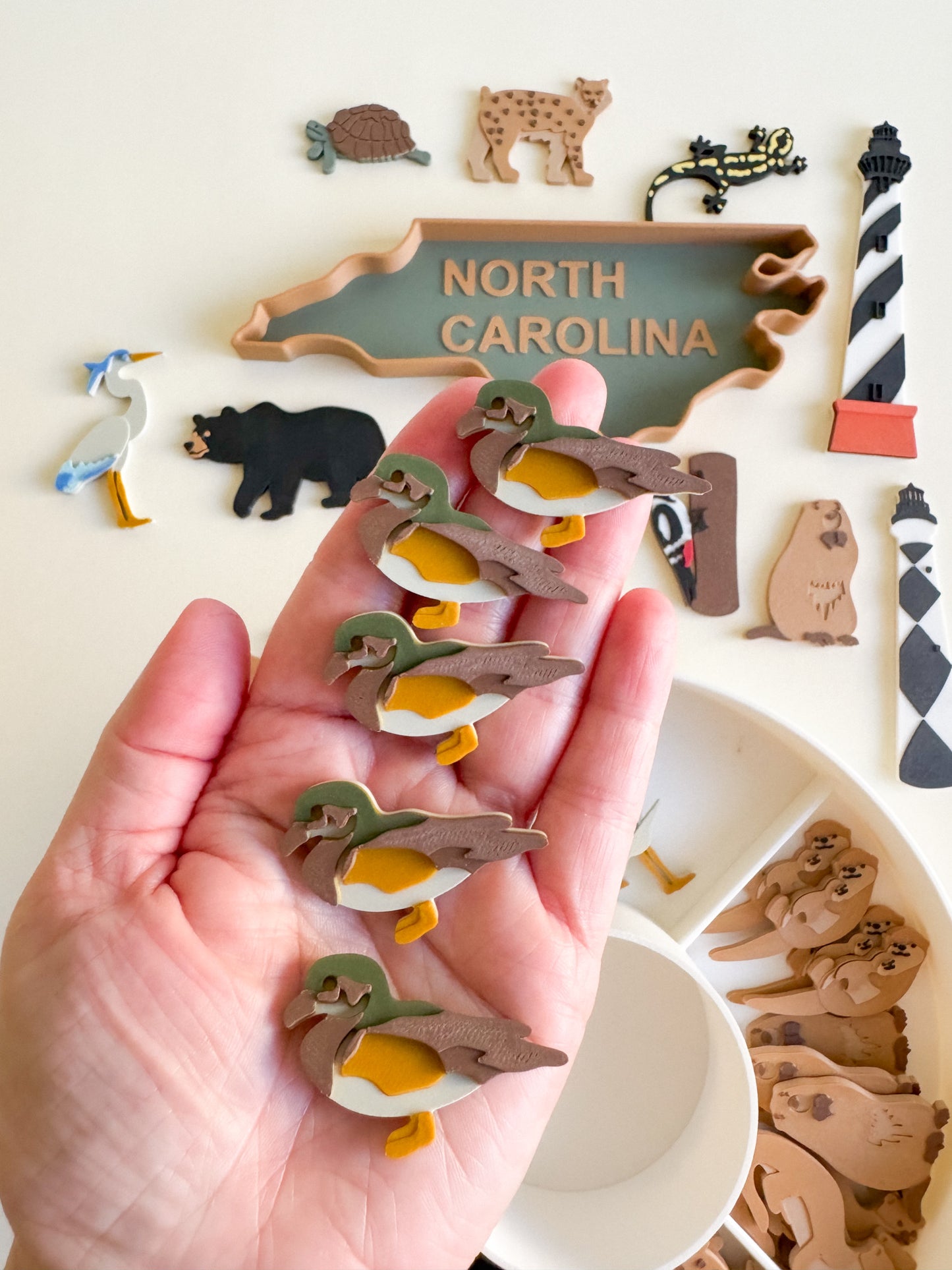Great Dismal Swamp & North Carolina Sensory Collection
