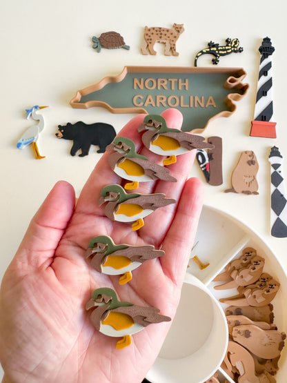 Great Dismal Swamp & North Carolina Sensory Collection