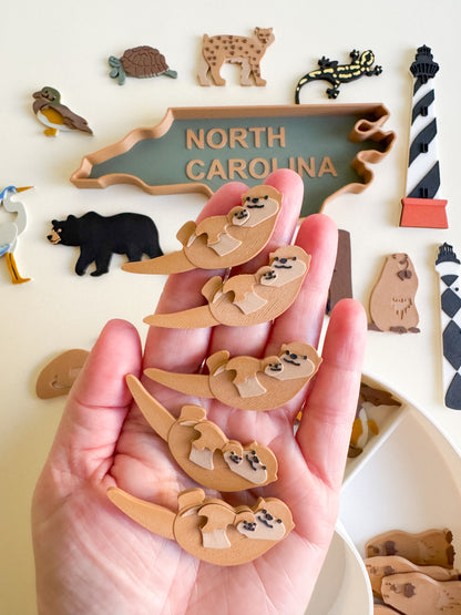 Great Dismal Swamp & North Carolina Sensory Collection