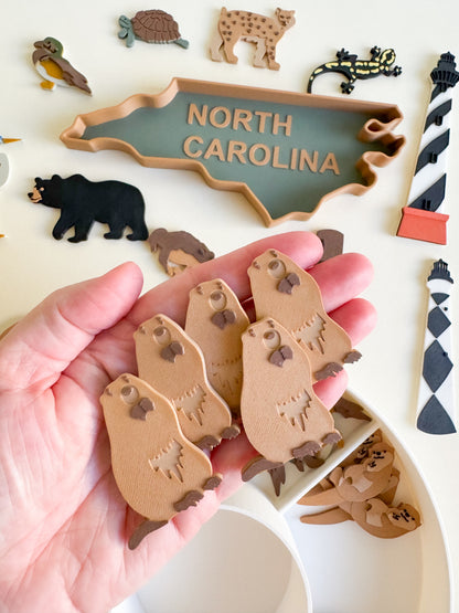 Great Dismal Swamp & North Carolina Sensory Collection