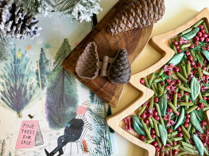 Pine Cone Bio Mold