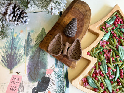 Pine Cone Bio Mold