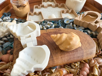 Playful Seashell Bio Mold