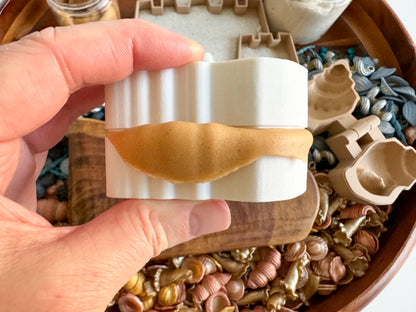 Playful Seashell Bio Mold