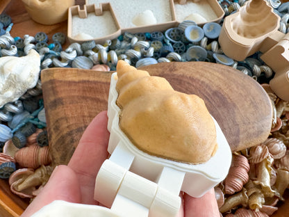 Playful Seashell Bio Mold