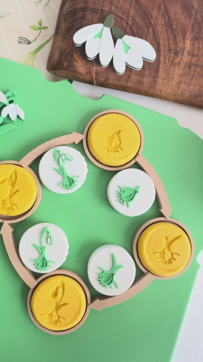 Snowdrop Life Cycle Stamp Set by inniko and Larabu