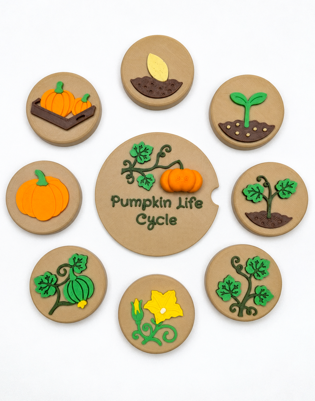Pumpkin Life Cycle Stamp Coin 8 Stages - Ready to 3D Print STL and 3MF Digital Download