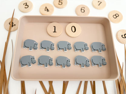 Safari-themed Math Counters