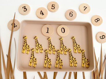 Safari-themed Math Counters