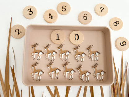 Safari-themed Math Counters