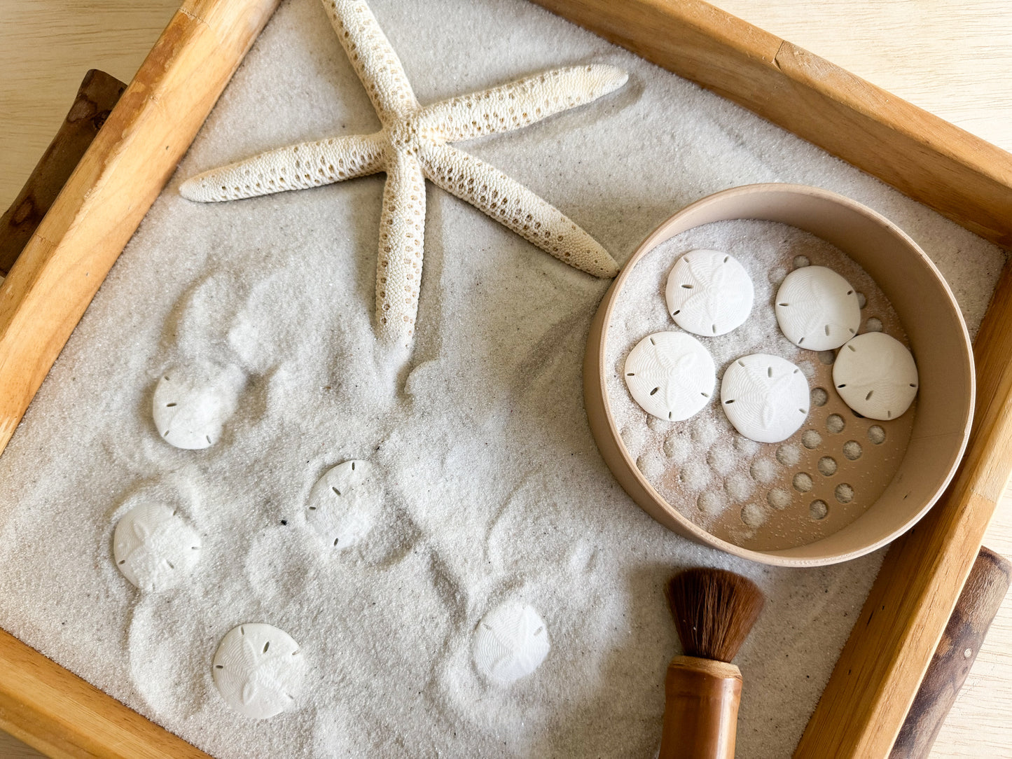 Sand Dollar 3D-printed Math Counters set of 10