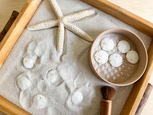 Sand Dollar 3D-printed Math Counters set of 10