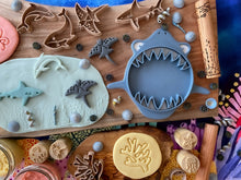 Load image into Gallery viewer, Shark Bio Sensory Tray for Sensory Play
